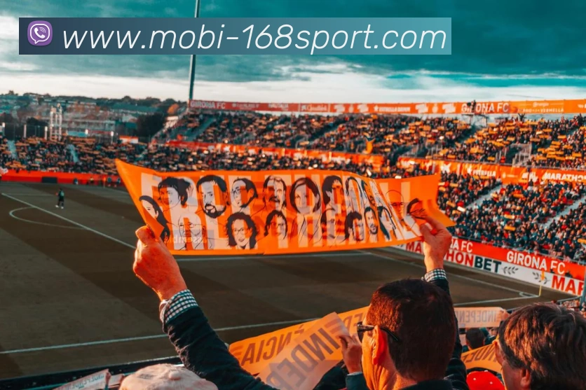 168体育APP 高清赛事图